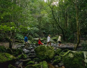 Family walking through green bushland over a creek bed with small and large rocks